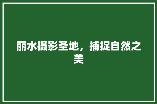 丽水摄影圣地，捕捉自然之美