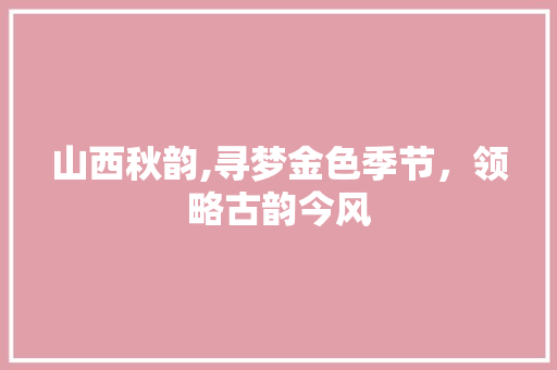 山西秋韵,寻梦金色季节，领略古韵今风