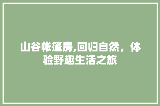 山谷帐篷房,回归自然，体验野趣生活之旅