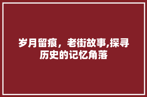 岁月留痕，老街故事,探寻历史的记忆角落