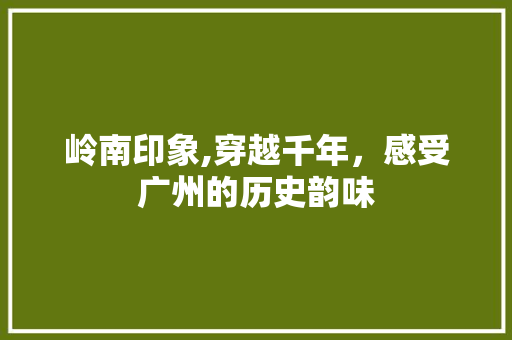 岭南印象,穿越千年，感受广州的历史韵味