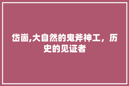 岱崮,大自然的鬼斧神工，历史的见证者