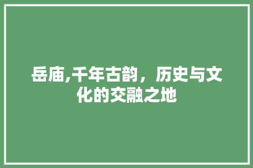 岳庙,千年古韵，历史与文化的交融之地