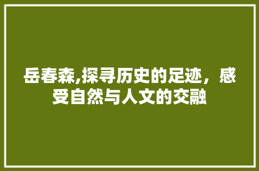 岳春森,探寻历史的足迹，感受自然与人文的交融