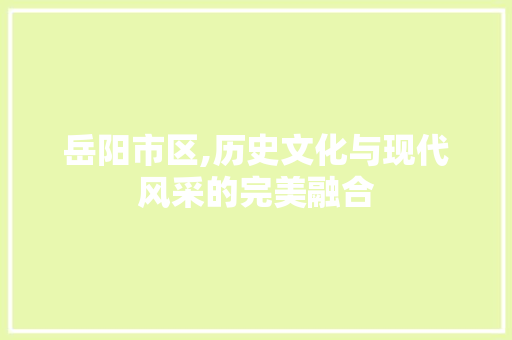 岳阳市区,历史文化与现代风采的完美融合