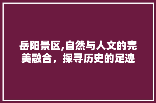 岳阳景区,自然与人文的完美融合，探寻历史的足迹