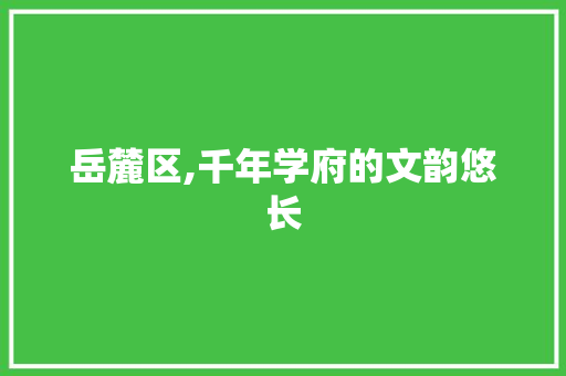 岳麓区,千年学府的文韵悠长