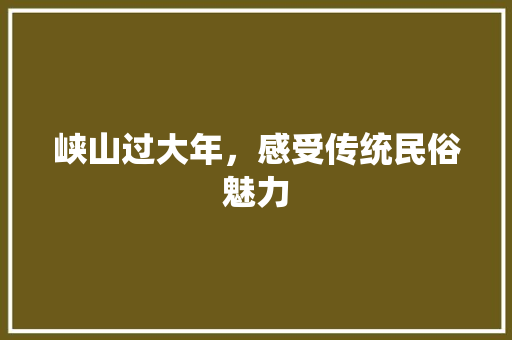 峡山过大年，感受传统民俗魅力