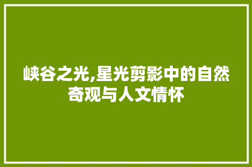 峡谷之光,星光剪影中的自然奇观与人文情怀