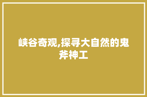 峡谷奇观,探寻大自然的鬼斧神工