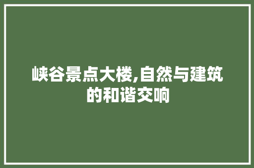 峡谷景点大楼,自然与建筑的和谐交响