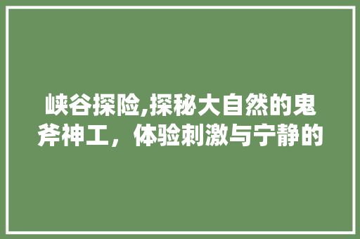 峡谷探险,探秘大自然的鬼斧神工，体验刺激与宁静的完美交融