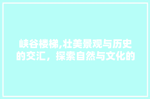 峡谷楼梯,壮美景观与历史的交汇，探索自然与文化的瑰宝