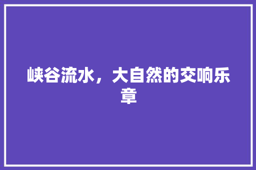 峡谷流水，大自然的交响乐章