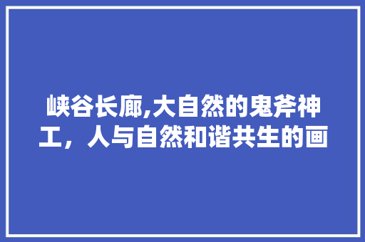 峡谷长廊,大自然的鬼斧神工，人与自然和谐共生的画卷