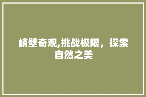 峭壁奇观,挑战极限，探索自然之美