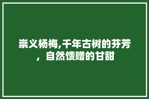 崇义杨梅,千年古树的芬芳，自然馈赠的甘甜