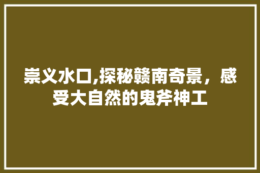 崇义水口,探秘赣南奇景，感受大自然的鬼斧神工