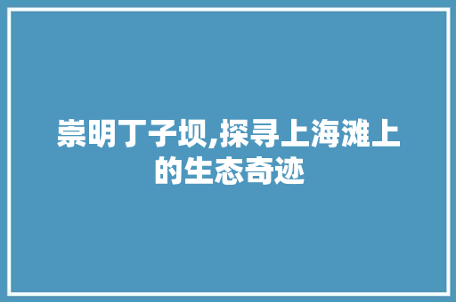 崇明丁子坝,探寻上海滩上的生态奇迹