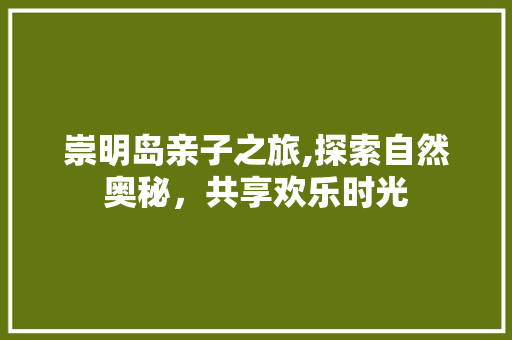 崇明岛亲子之旅,探索自然奥秘，共享欢乐时光