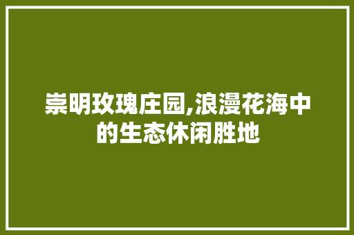 崇明玫瑰庄园,浪漫花海中的生态休闲胜地