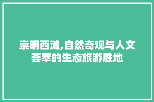 崇明西滩,自然奇观与人文荟萃的生态旅游胜地