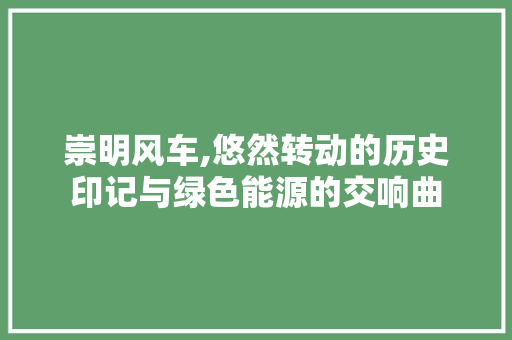 崇明风车,悠然转动的历史印记与绿色能源的交响曲