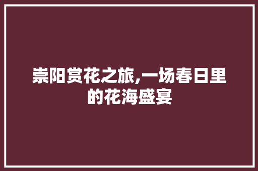 崇阳赏花之旅,一场春日里的花海盛宴