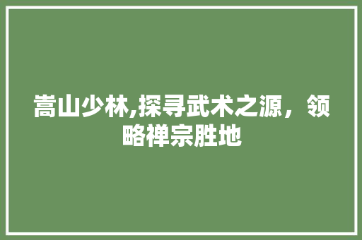 嵩山少林,探寻武术之源，领略禅宗胜地