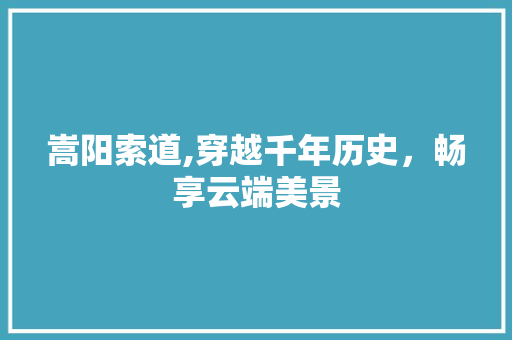 嵩阳索道,穿越千年历史，畅享云端美景