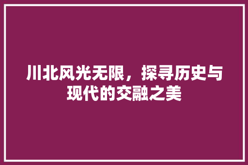 川北风光无限，探寻历史与现代的交融之美