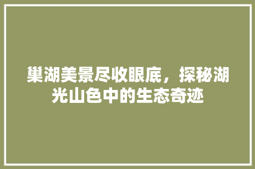 巢湖美景尽收眼底，探秘湖光山色中的生态奇迹