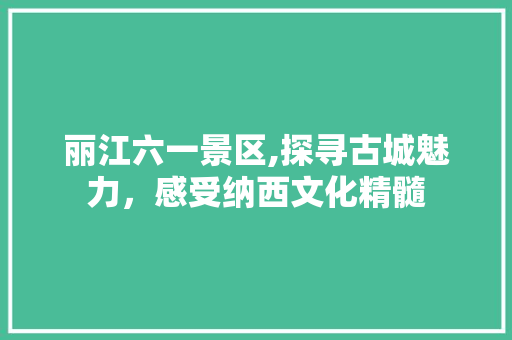 丽江六一景区,探寻古城魅力，感受纳西文化精髓  第1张