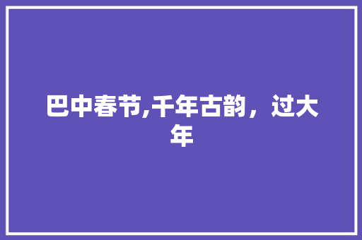 巴中春节,千年古韵，过大年  第1张