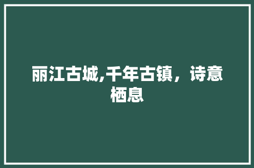 丽江古城,千年古镇，诗意栖息  第1张