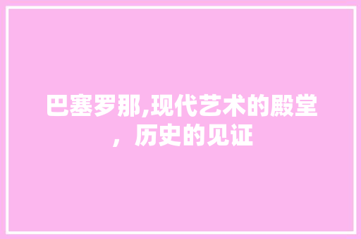 巴塞罗那,现代艺术的殿堂，历史的见证