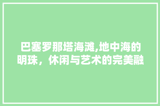 巴塞罗那塔海滩,地中海的明珠，休闲与艺术的完美融合