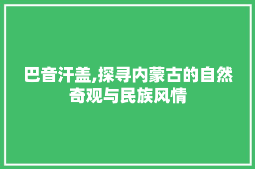 巴音汗盖,探寻内蒙古的自然奇观与民族风情