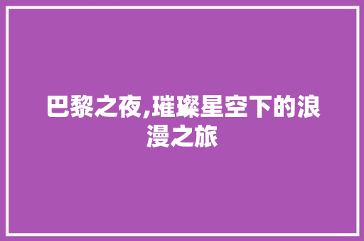 巴黎之夜,璀璨星空下的浪漫之旅