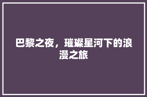 巴黎之夜，璀璨星河下的浪漫之旅