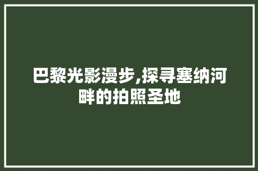 巴黎光影漫步,探寻塞纳河畔的拍照圣地