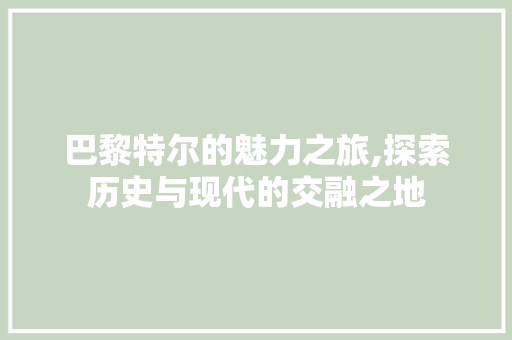 巴黎特尔的魅力之旅,探索历史与现代的交融之地