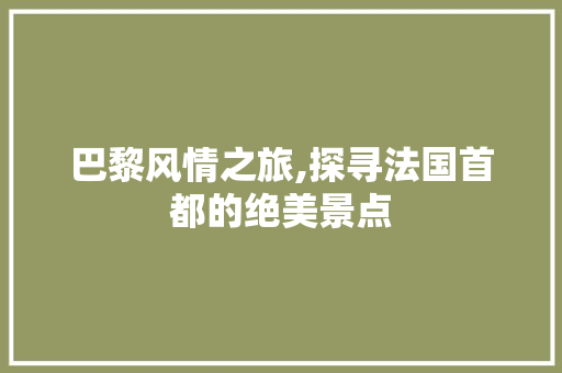 巴黎风情之旅,探寻法国首都的绝美景点