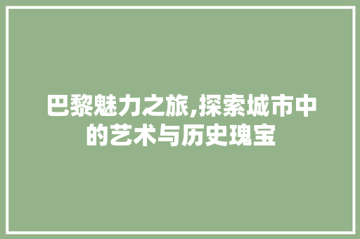 巴黎魅力之旅,探索城市中的艺术与历史瑰宝