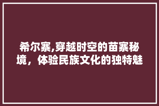 希尔寨,穿越时空的苗寨秘境，体验民族文化的独特魅力