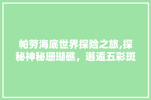 帕劳海底世界探险之旅,探秘神秘珊瑚礁，邂逅五彩斑斓海洋生物