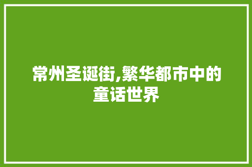 常州圣诞街,繁华都市中的童话世界