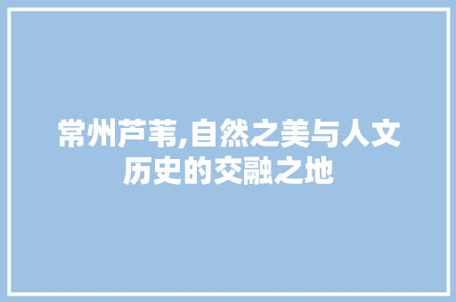 常州芦苇,自然之美与人文历史的交融之地