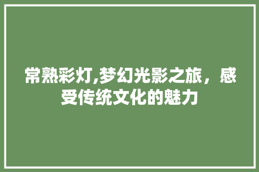 常熟彩灯,梦幻光影之旅，感受传统文化的魅力