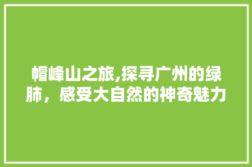 帽峰山之旅,探寻广州的绿肺，感受大自然的神奇魅力